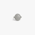 Awe Inspired Rings Sterling Silver / 5 Aquarius & Air Flip Ring