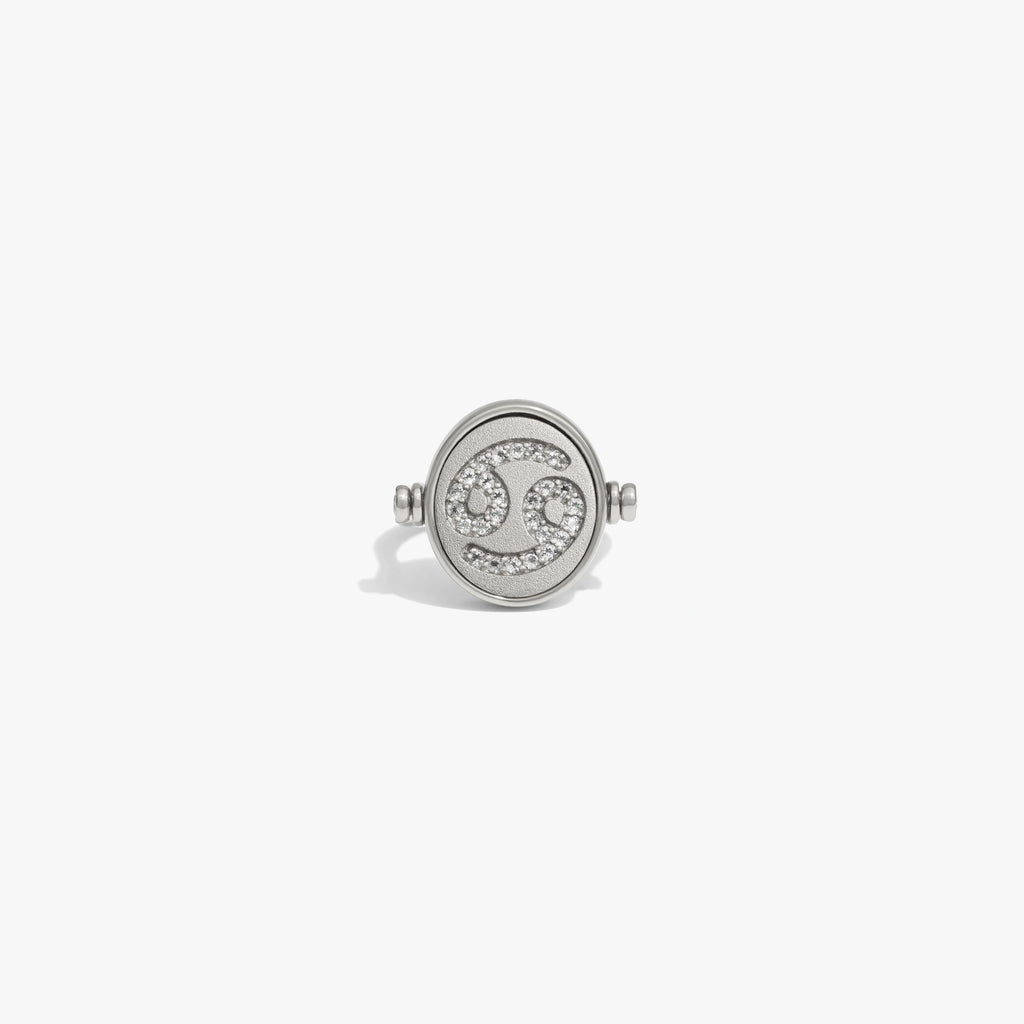 Awe Inspired Rings Sterling Silver / 5 Cancer & Water Flip Ring