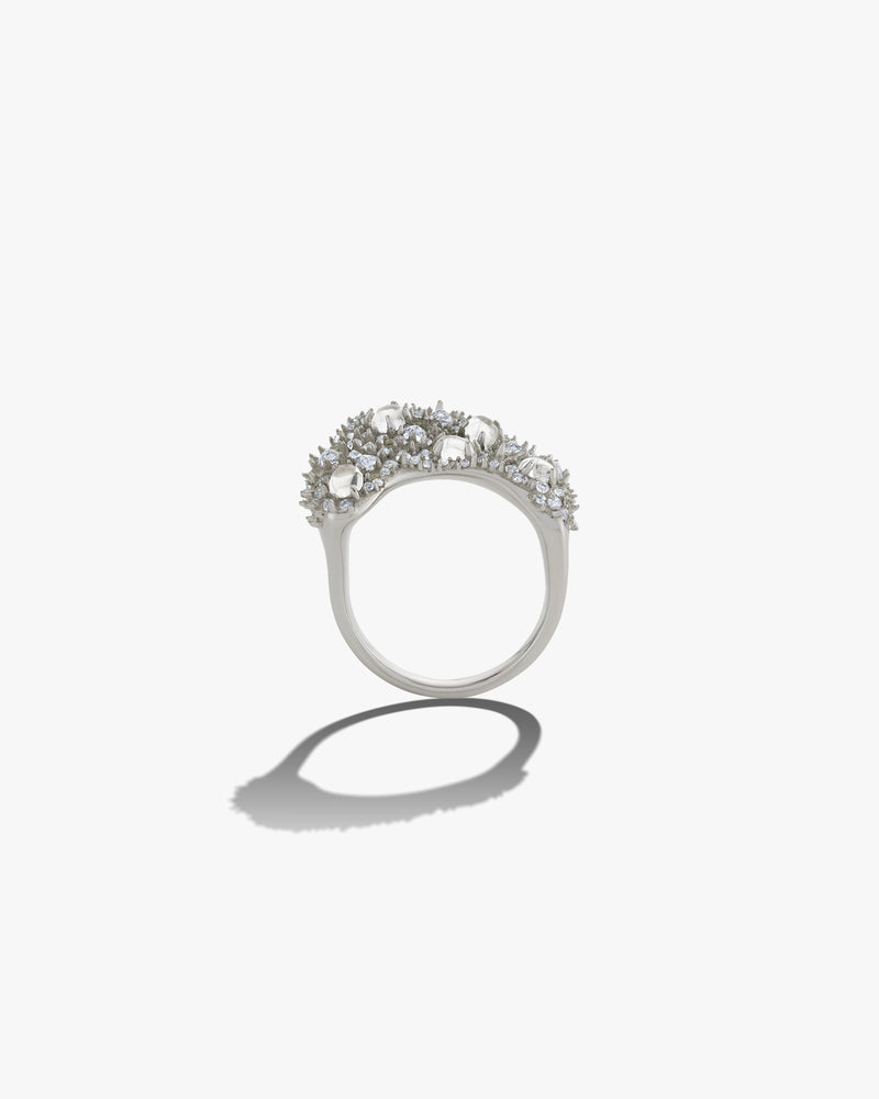 Awe Inspired Rings Sterling Silver / 6 Encrusted Wavy Ring
