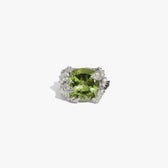 Awe Inspired Rings Sterling Silver / 6 Queen of the Fairies Statement Ring