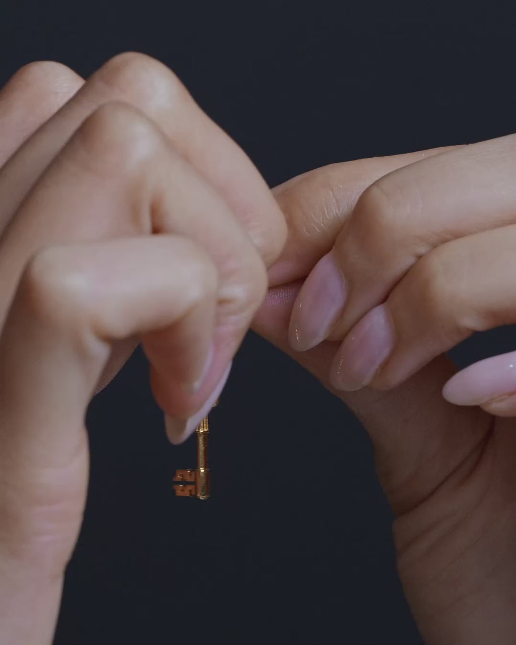 Dual Charm Earring
