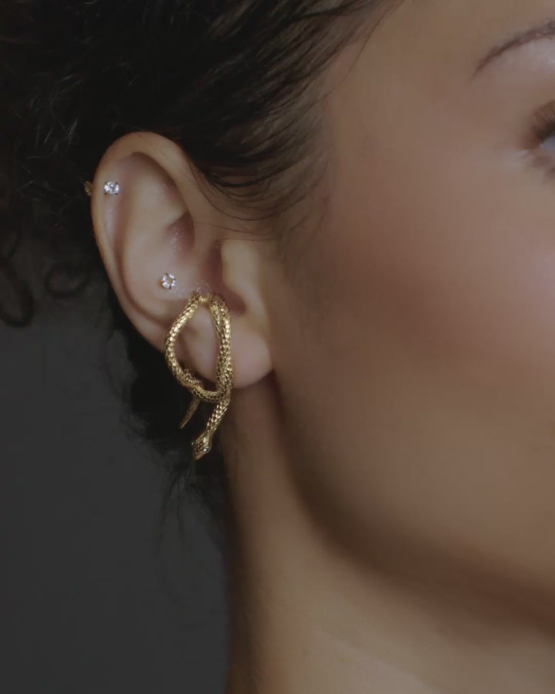 Snake Wrap Earring