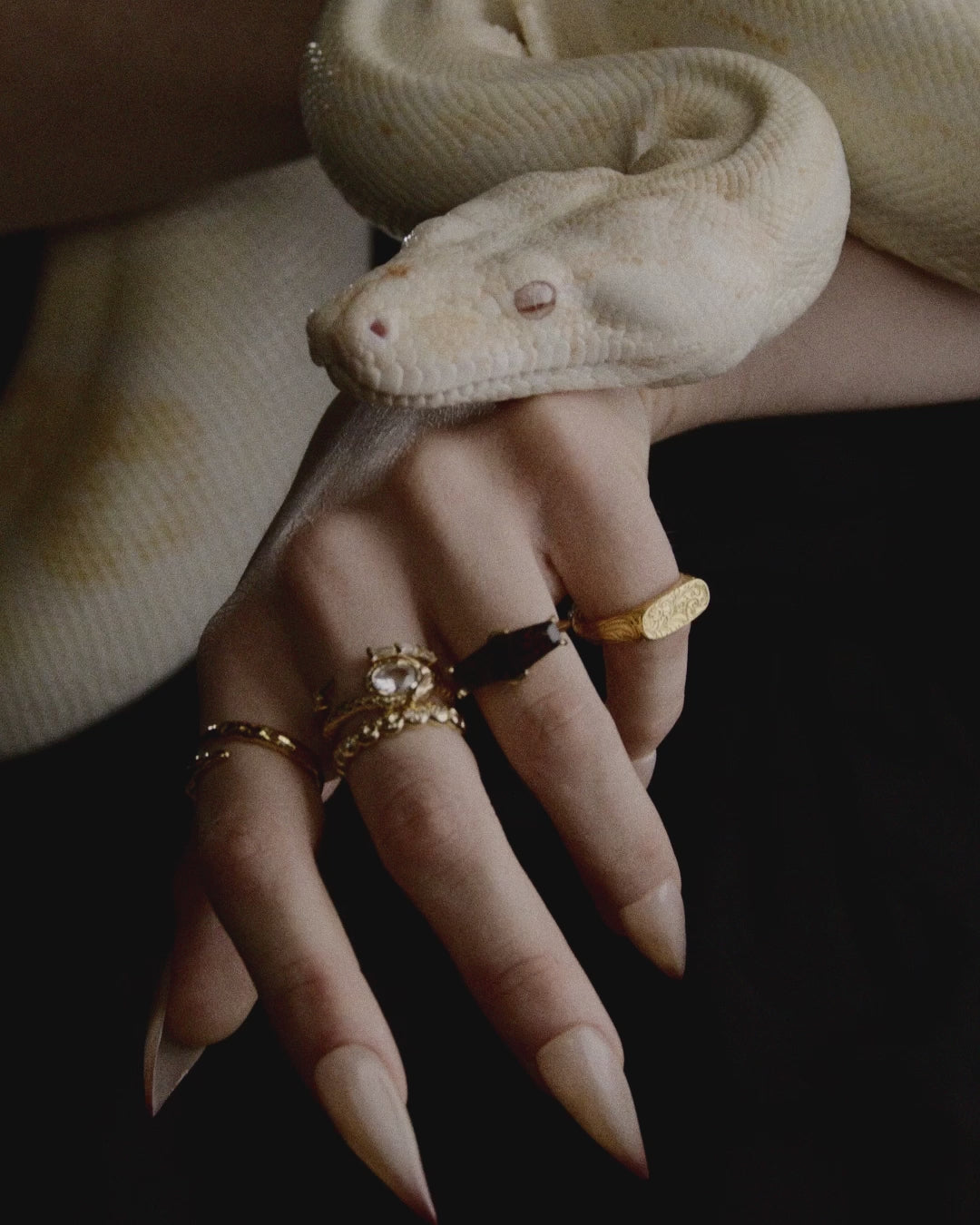 Filigree Signet Ring